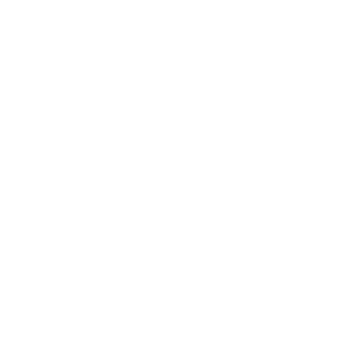 Pignitter Kaminbau Steiermark Rauchfangreinigungsbürste