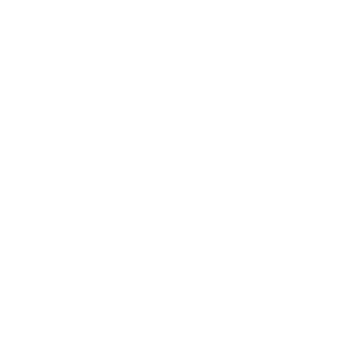 Pignitter Kaminbau Steiermark Informationsgrafik